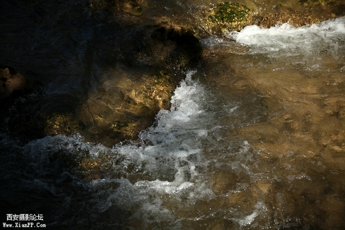 0902湖北5d2195.jpg