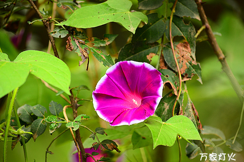 DSC_1029_副本.jpg