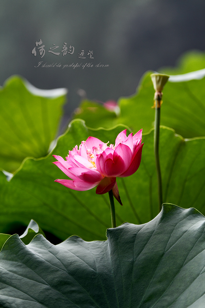 _MG_5872副本.jpg