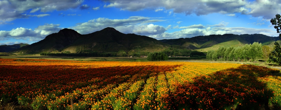 全景图 8.jpg