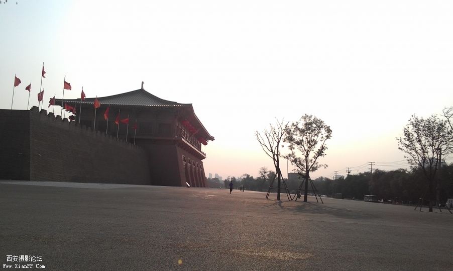 IMAG0319.jpg