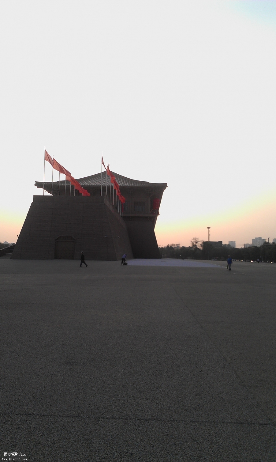 IMAG0305.jpg