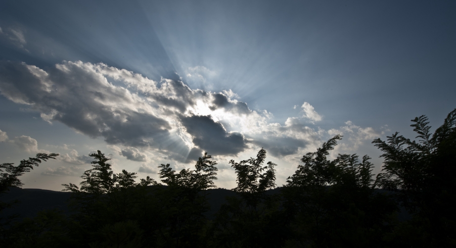 DSC_1227.JPG