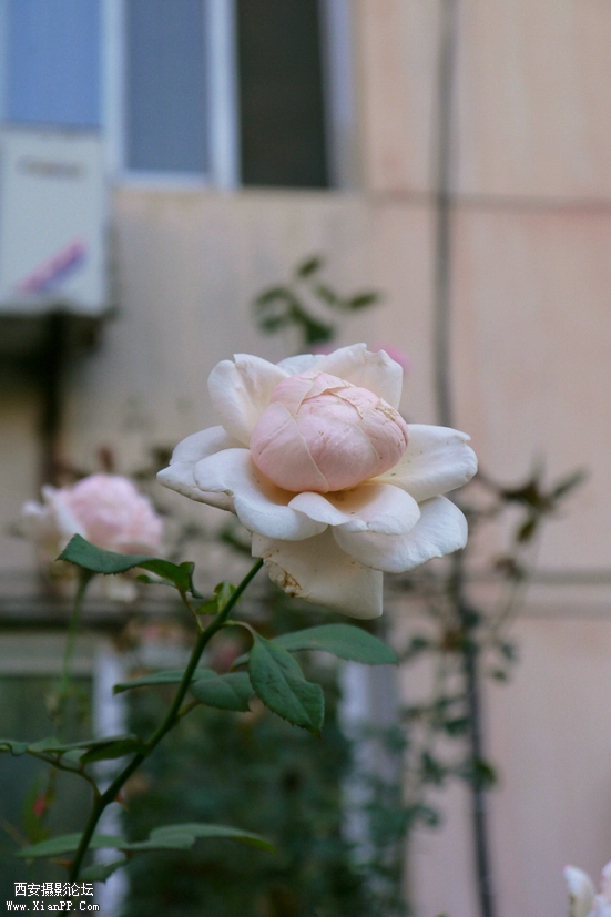 P1010028.jpg