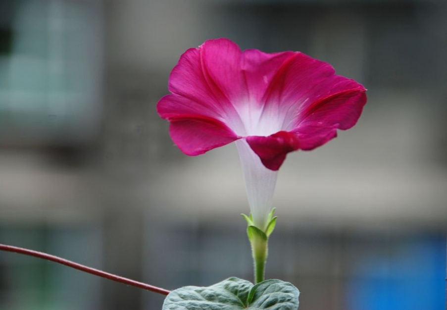 DSC_0482.JPG