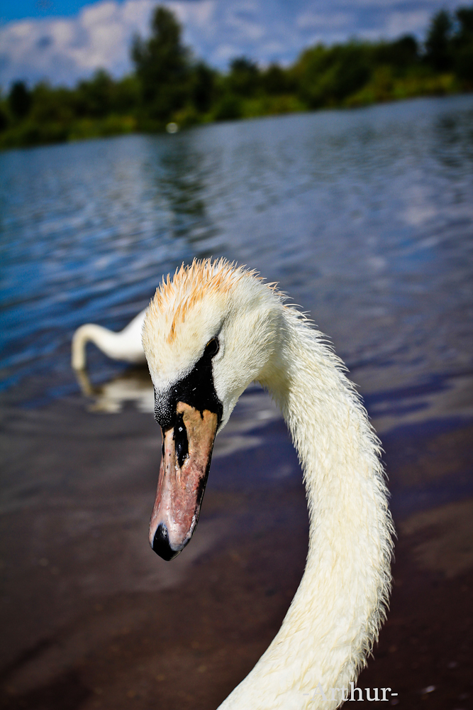 20120826-IMG_9132-11.jpg