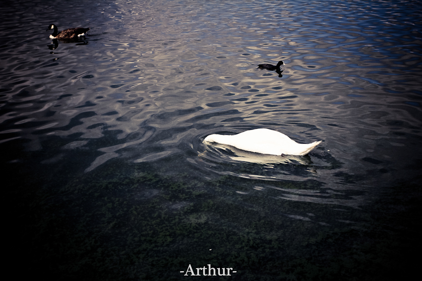 20120826-IMG_9198-17.jpg