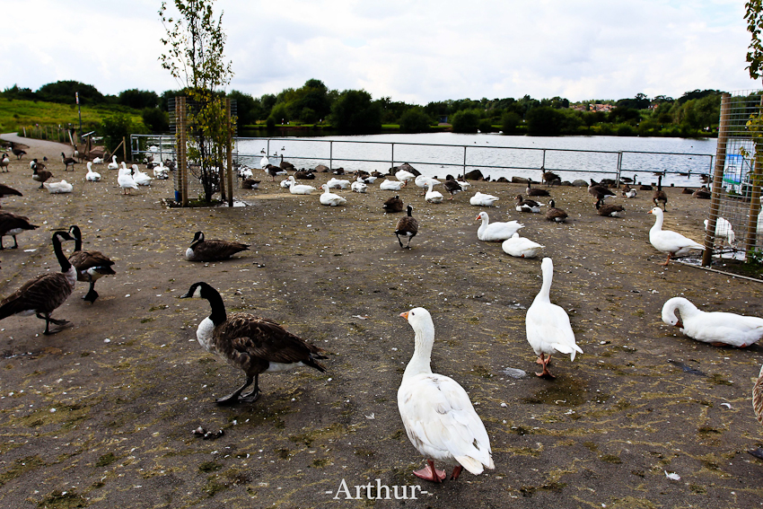20120826-IMG_9207-18.jpg