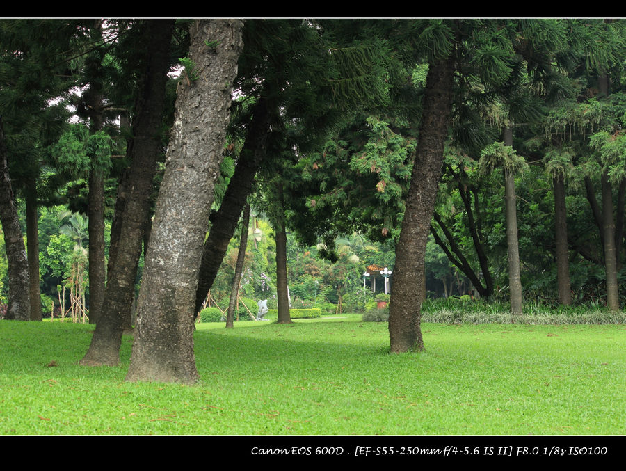 IMG_1585.jpg