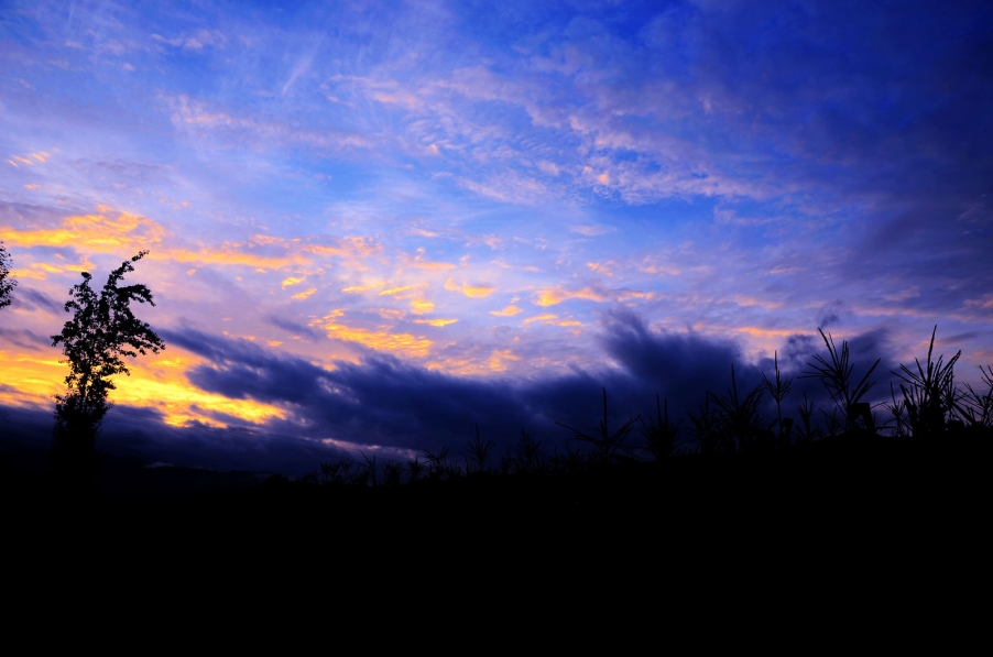 nEO_IMG_DSC_5690.jpg
