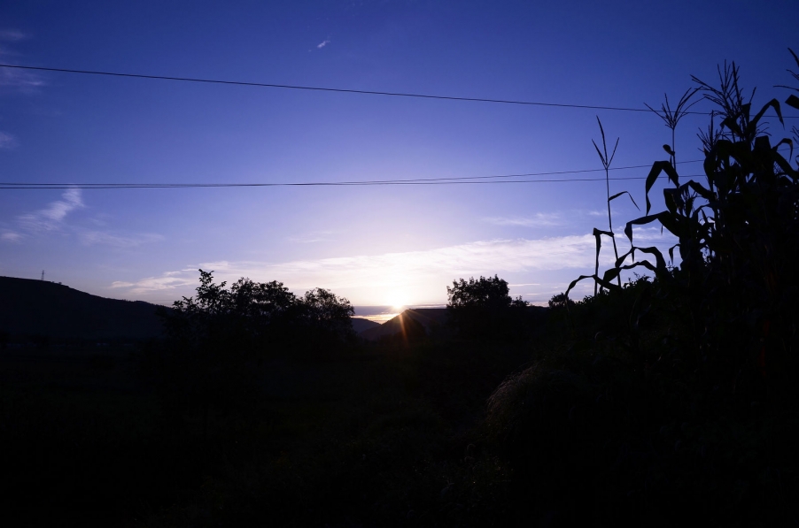 nEO_IMG_DSC_5784.jpg