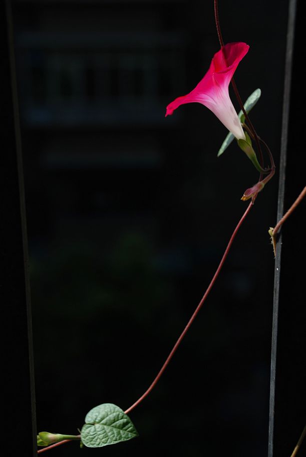 DSC_0043.JPG