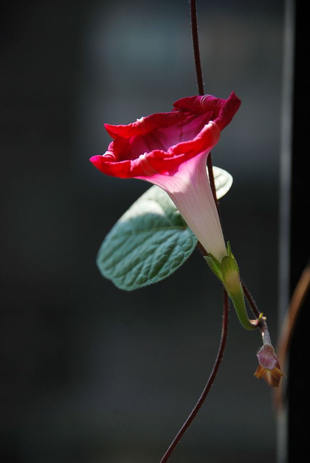 DSC_0072.JPG
