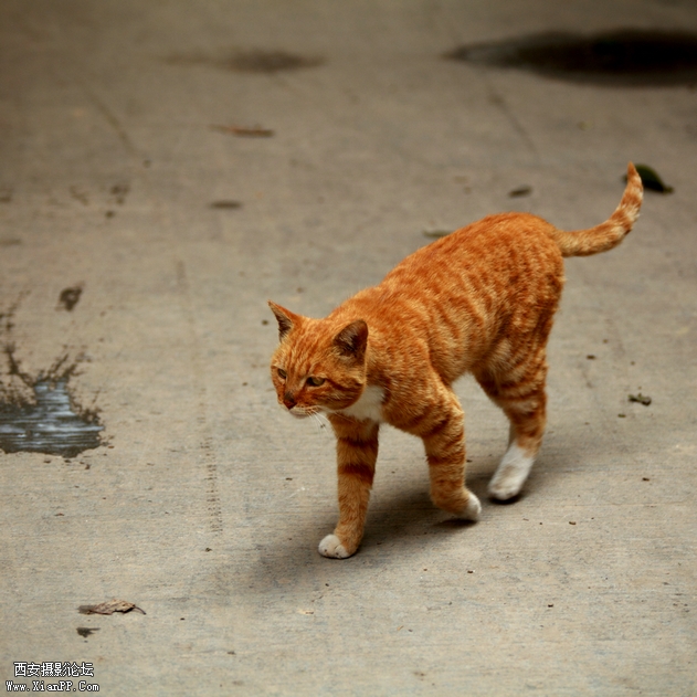 201209 5d201.jpg