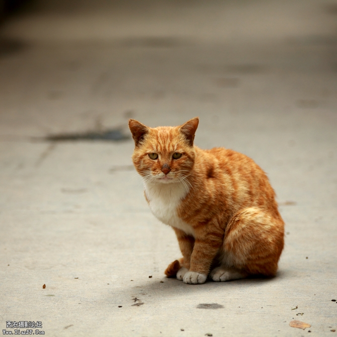 201209 5d202.jpg