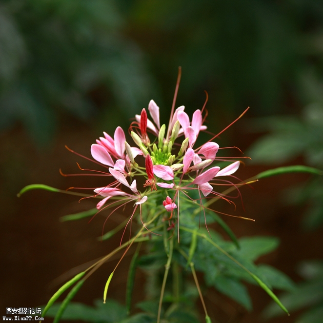 201209 5d206.jpg