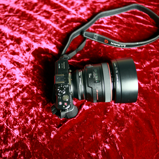 201209 5d212.jpg