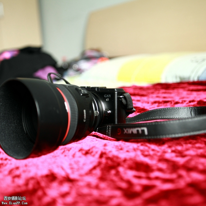 201209 5d213.jpg