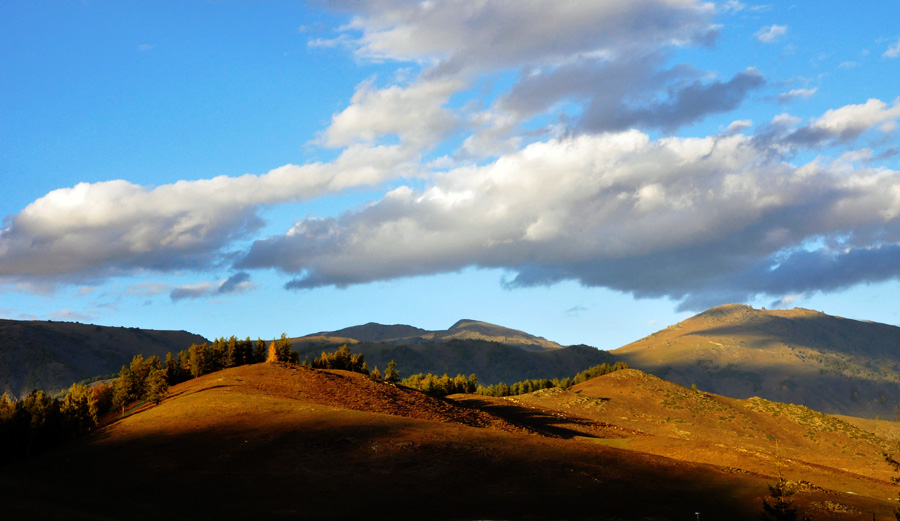 DSC_0365.jpg