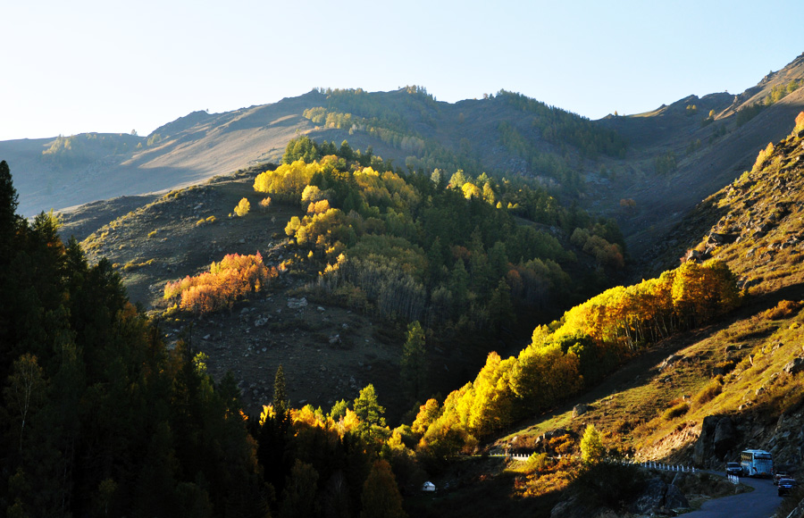 DSC_0465.jpg