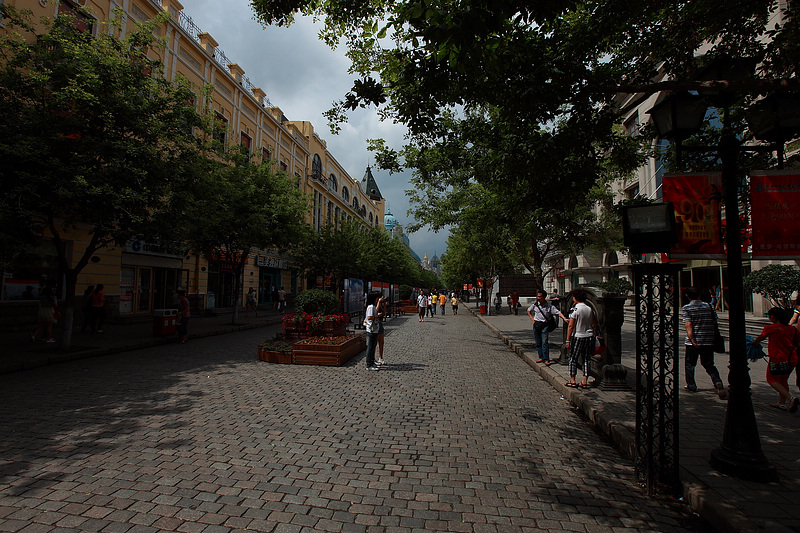 _MG_8272.jpg