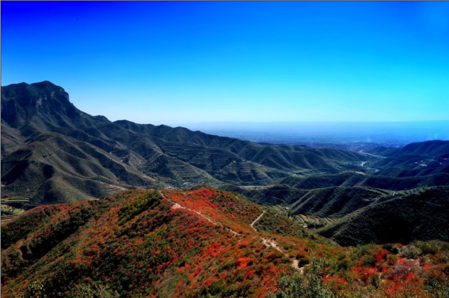 红叶节04.jpg