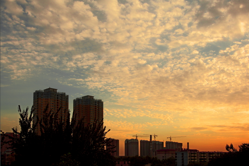 复件 IMG_000201.JPG