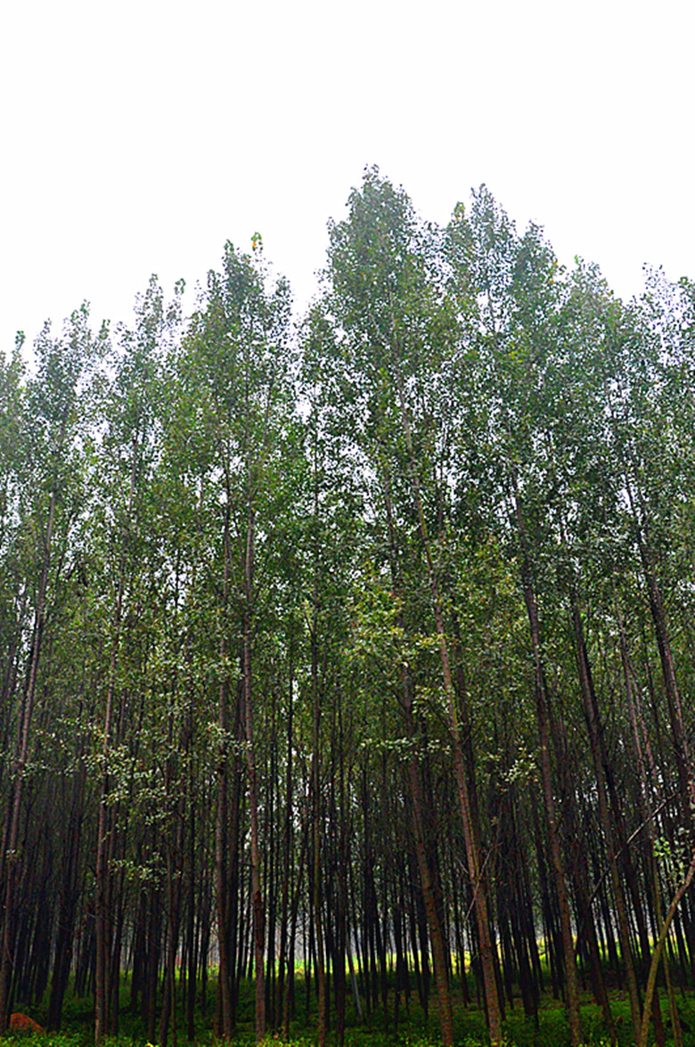 LostFile_JPG_1152384_副本.jpg