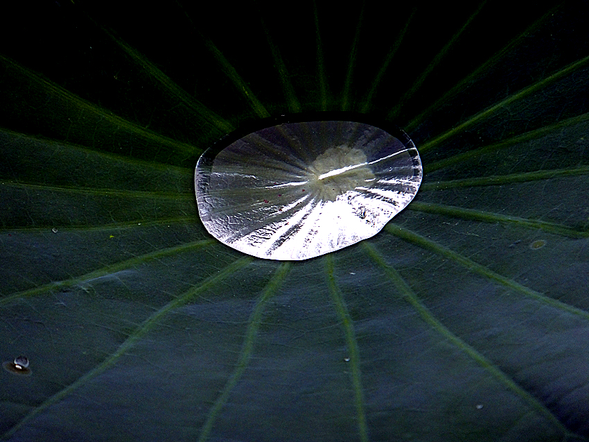 DSCF6108_副本.jpg