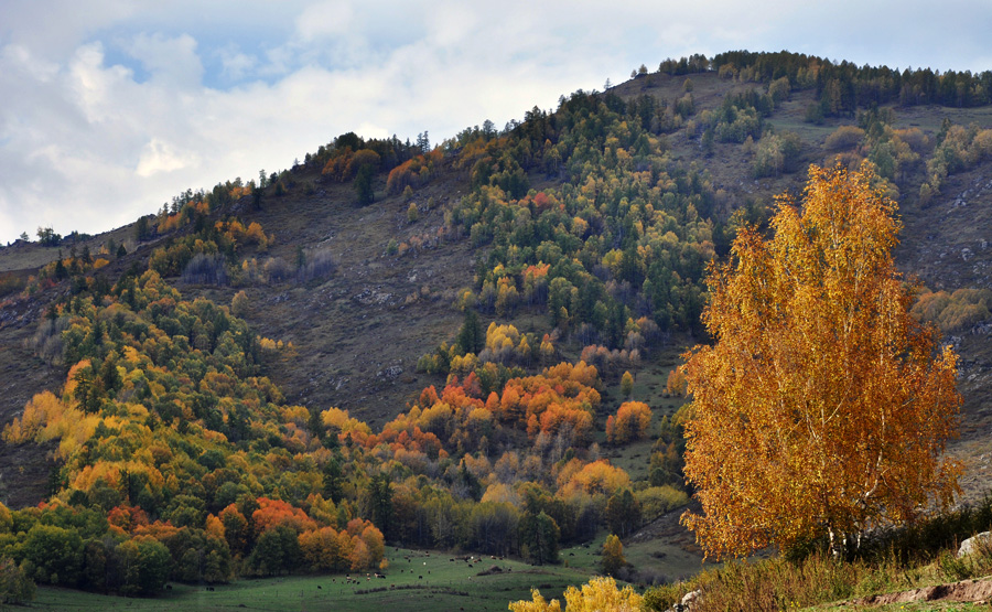 DSC_0755.jpg