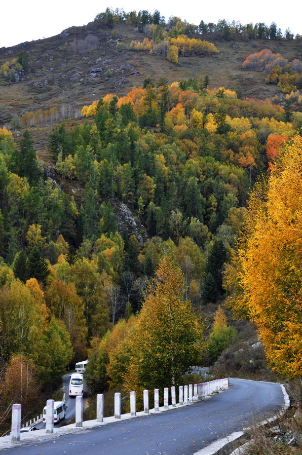 DSC_0767.jpg