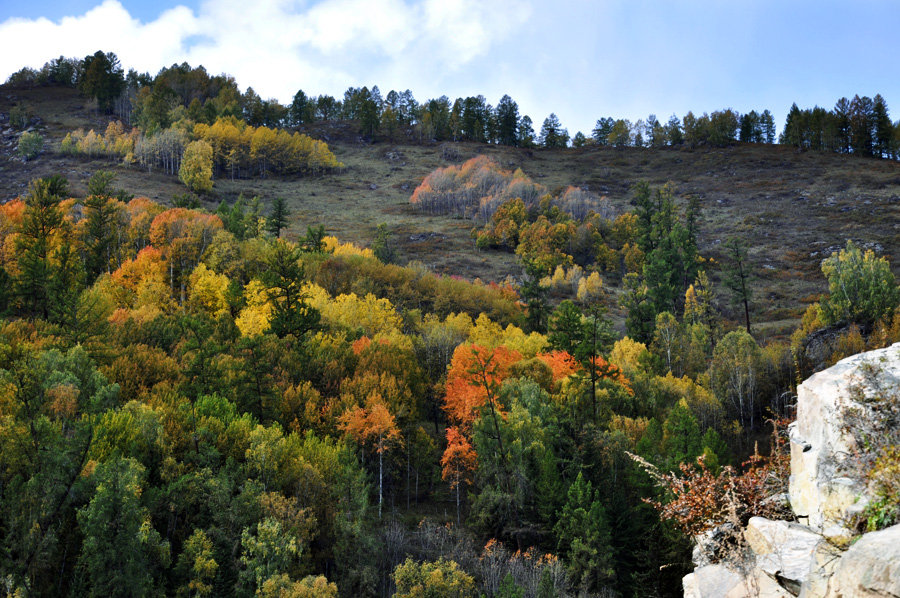 DSC_0770.jpg