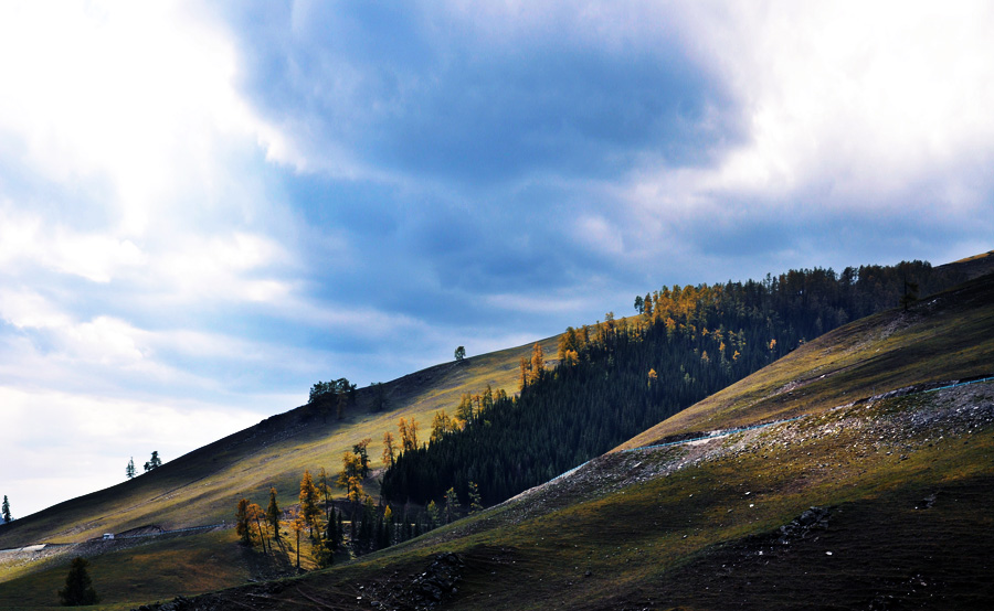 DSC_0792.jpg