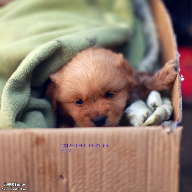 20121001树下小孩07.JPG