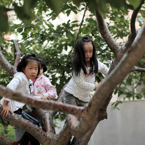 20121001树下小孩14.JPG