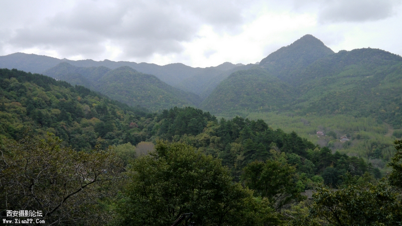 P1010496.JPG
