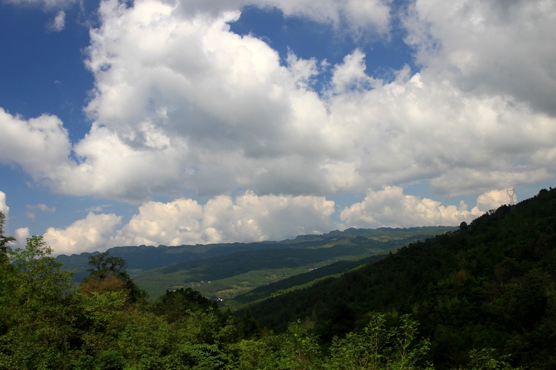 四川游 309.jpg