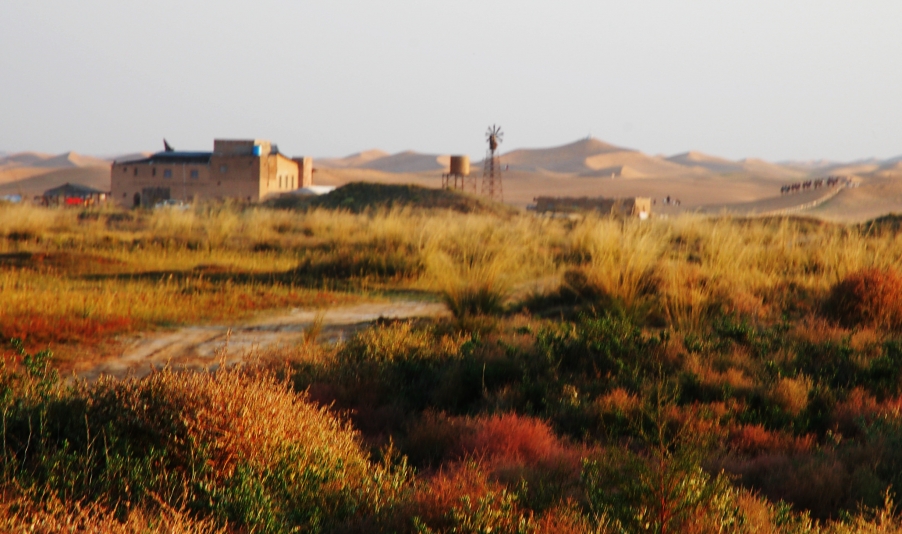 DSC_0478.jpg
