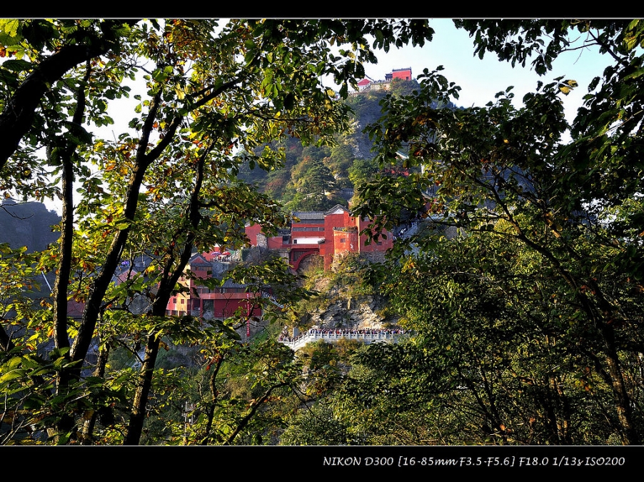 _DSC6503.JPG
