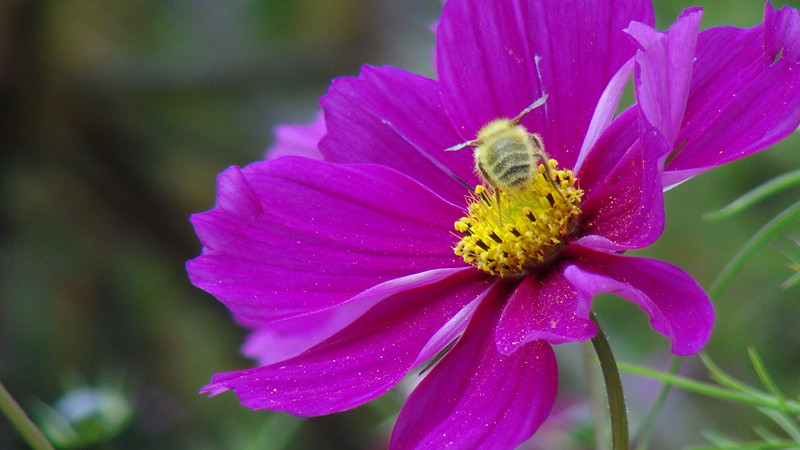 DSC00932_副本.jpg
