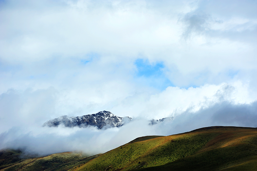 DSC_6773.jpg