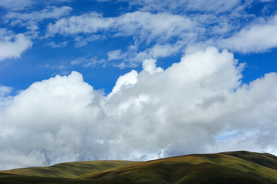 DSC_6779.jpg