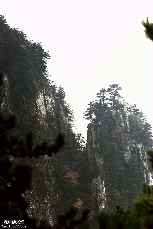 _MG_6701.jpg