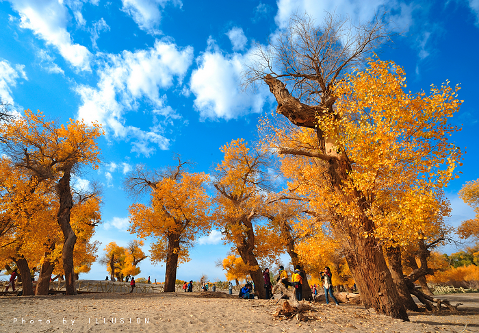 DSC_6462副本xiao.jpg