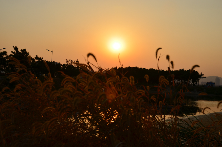 DSC_0813.jpg