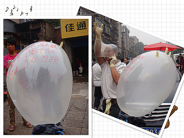 DSC08462_副本.jpg