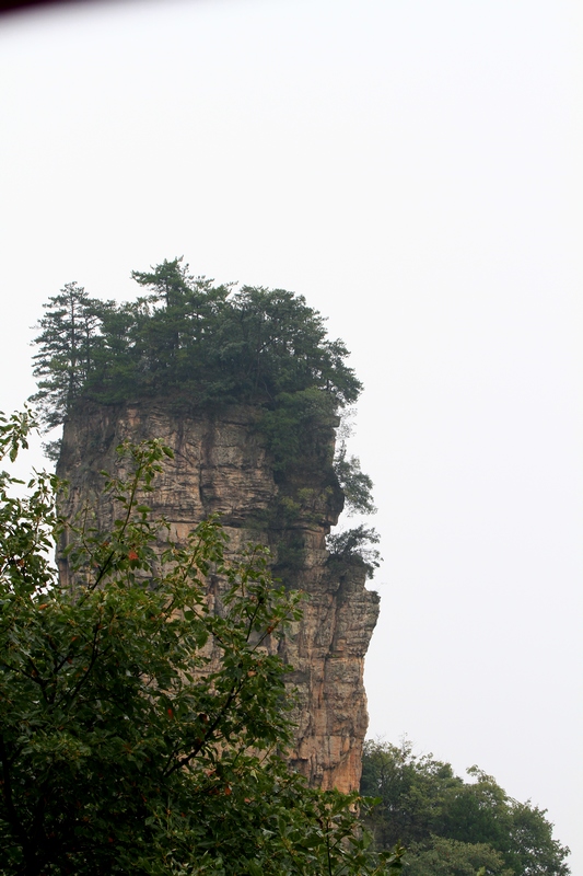 湖南长沙行 748.jpg