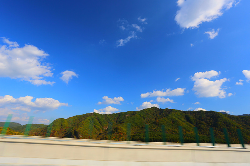 IMGM0965_副本.jpg