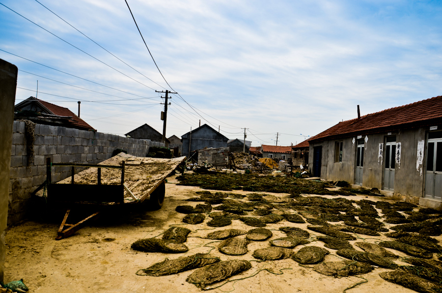 DSC_0290.jpg