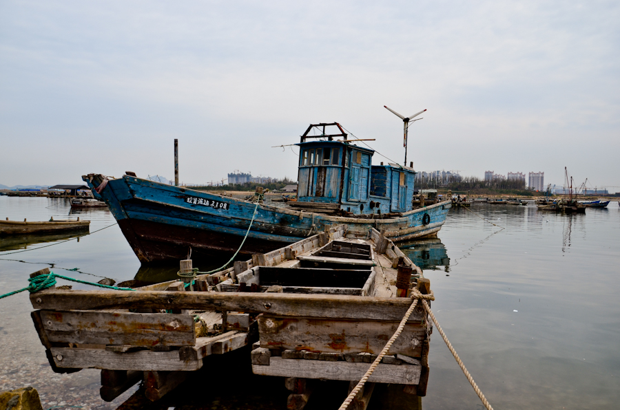 DSC_0295.jpg
